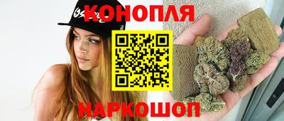 гашик Бузулук
