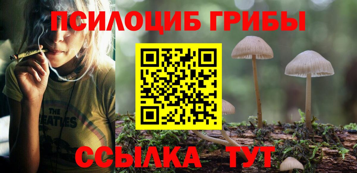 Сургут  Галлюциногенные грибы прущие грибы  Вход с VPN 